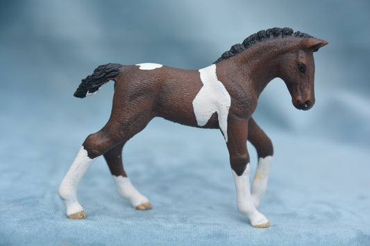 Trakehner Foal