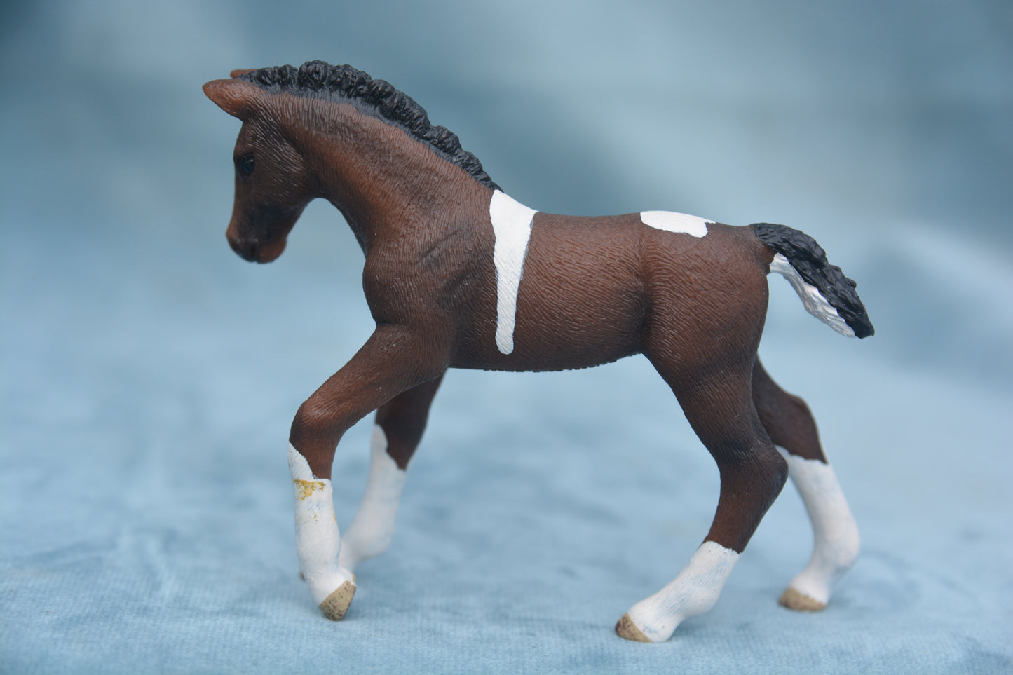 Trakehner Foal