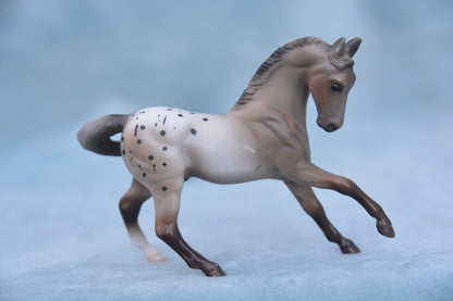 Polka Dot Warmblood