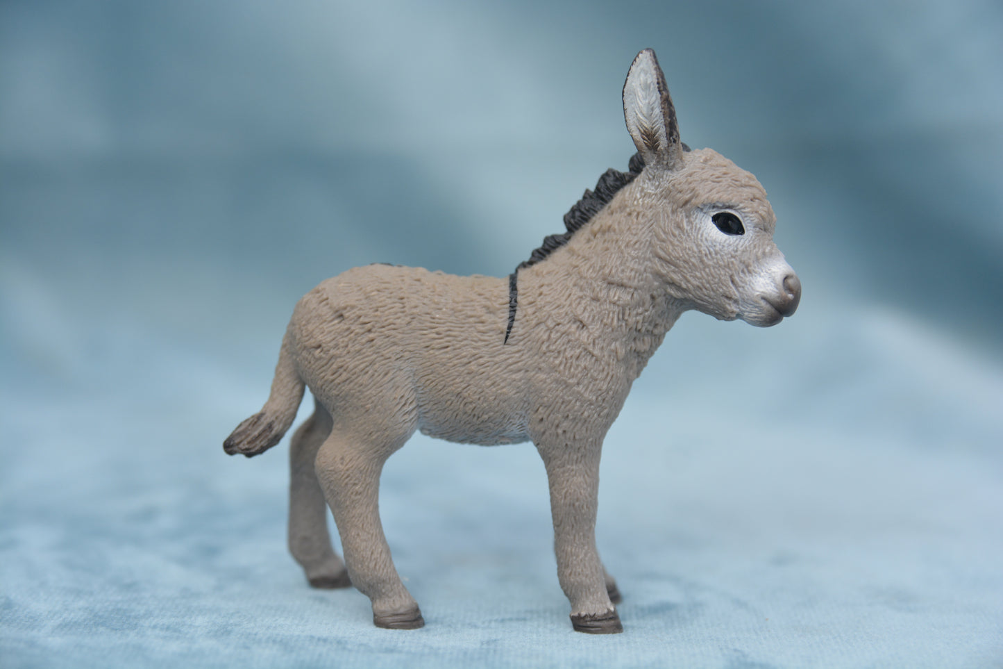 Donkey Foal