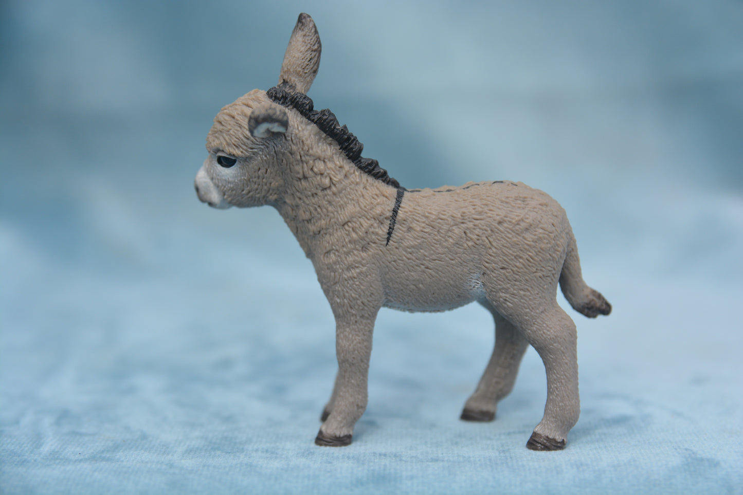 Donkey Foal