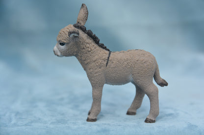 Donkey Foal