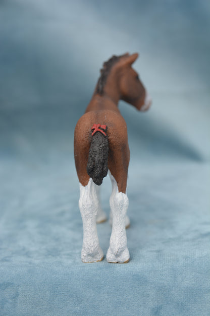 Clydesdale Foal