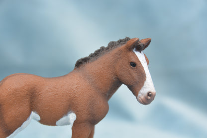 Clydesdale Foal