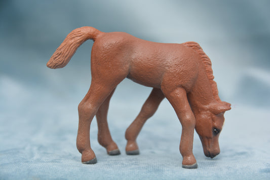 Custom Grazing Foal