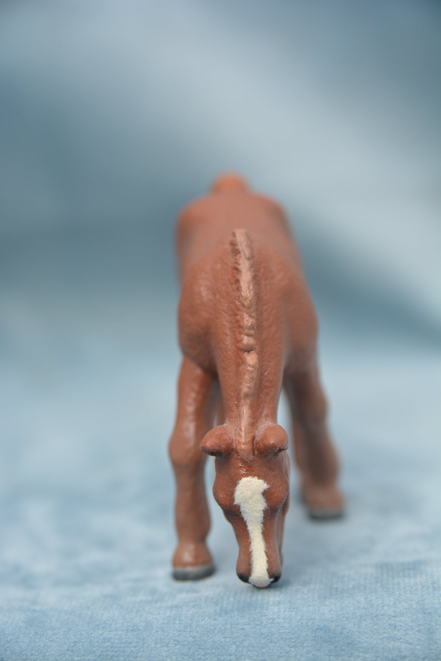 Custom Grazing Foal
