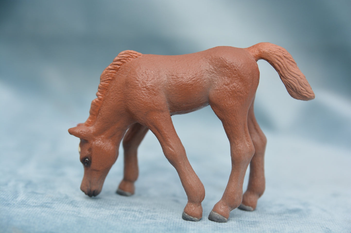 Custom Grazing Foal