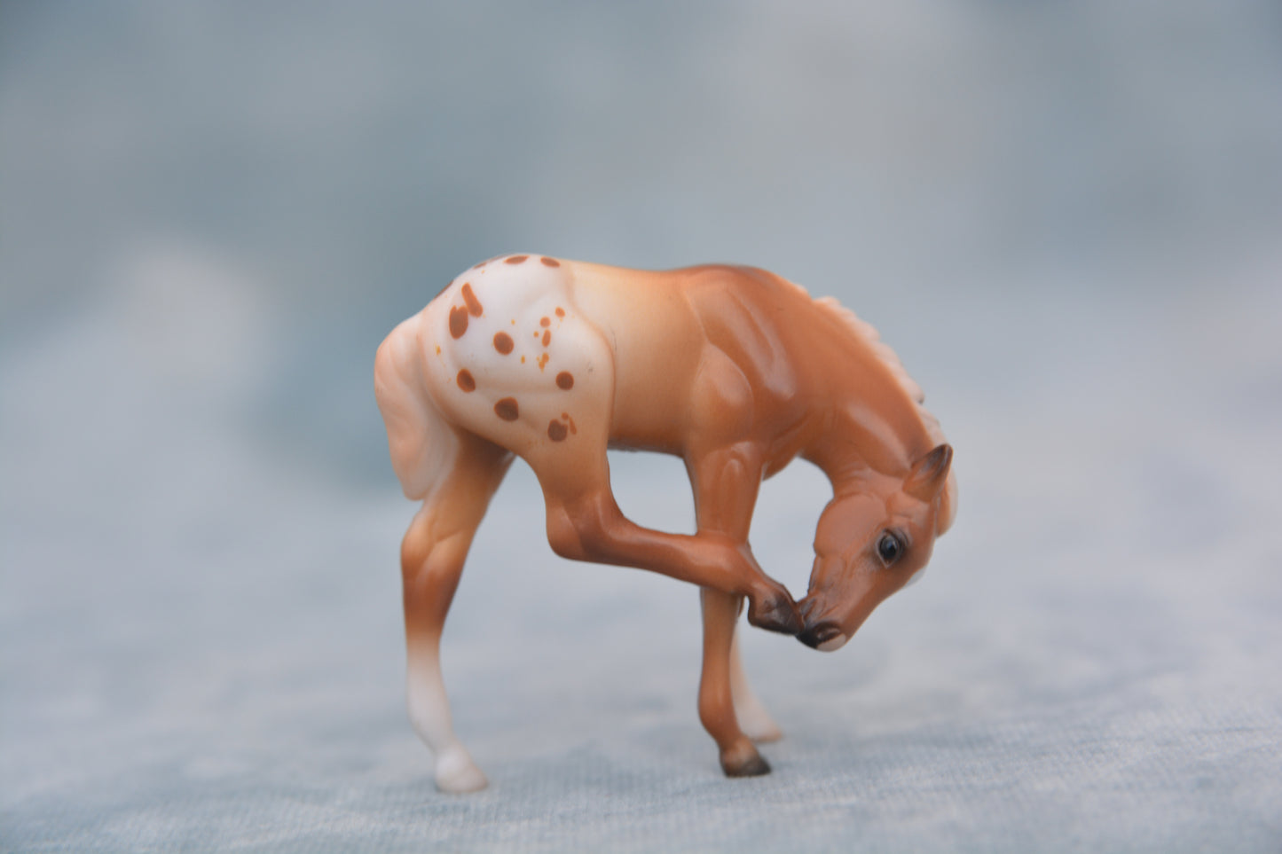 Mystery Foal Surprise Scratching Foal