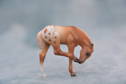 Mystery Foal Surprise Scratching Foal