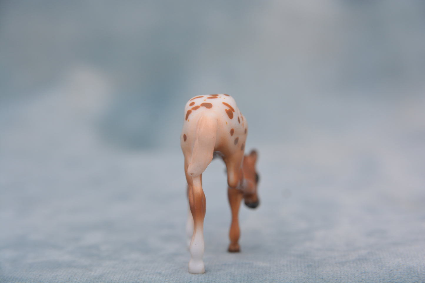 Mystery Foal Surprise Scratching Foal