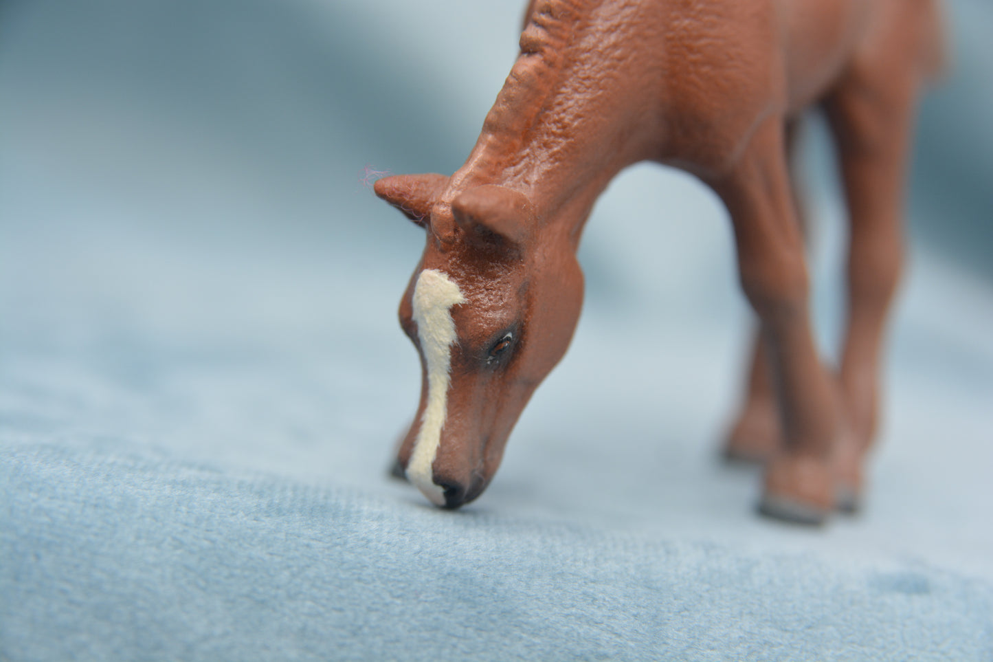 Custom Grazing Foal