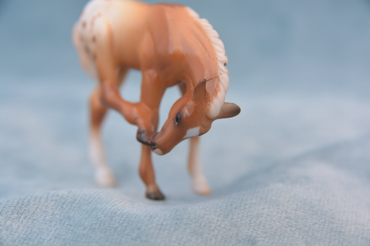 Mystery Foal Surprise Scratching Foal