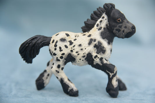 Custom Shetland Foal