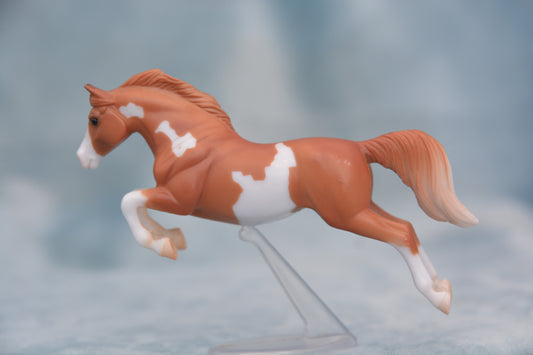 Chestnut Pinto Sport Horse