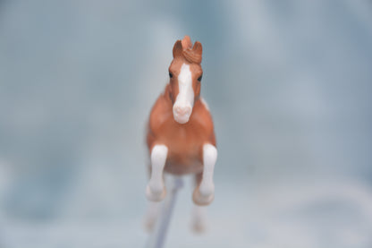 Chestnut Pinto Sport Horse