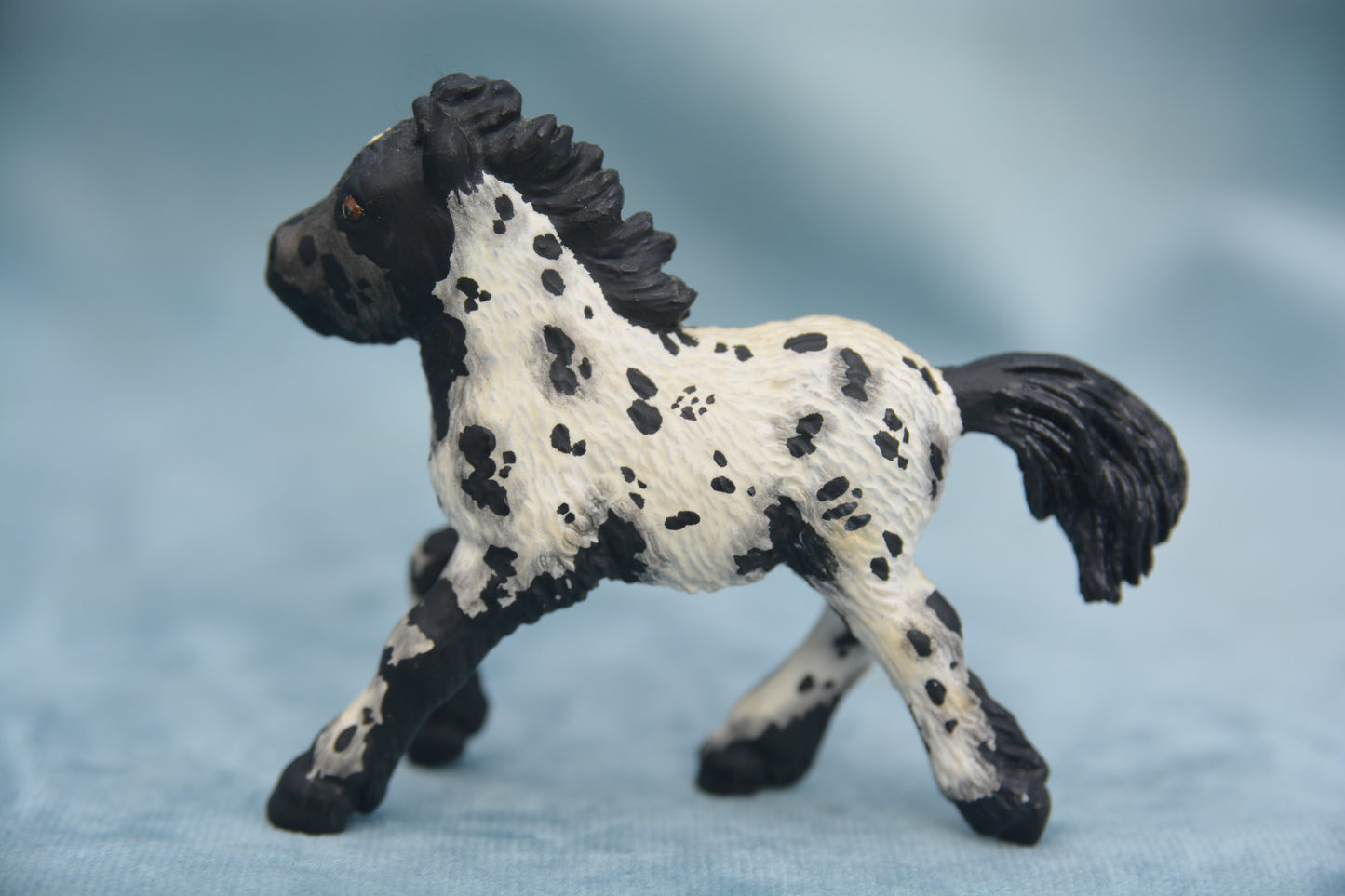 Custom Shetland Foal