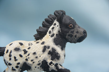 Custom Shetland Foal