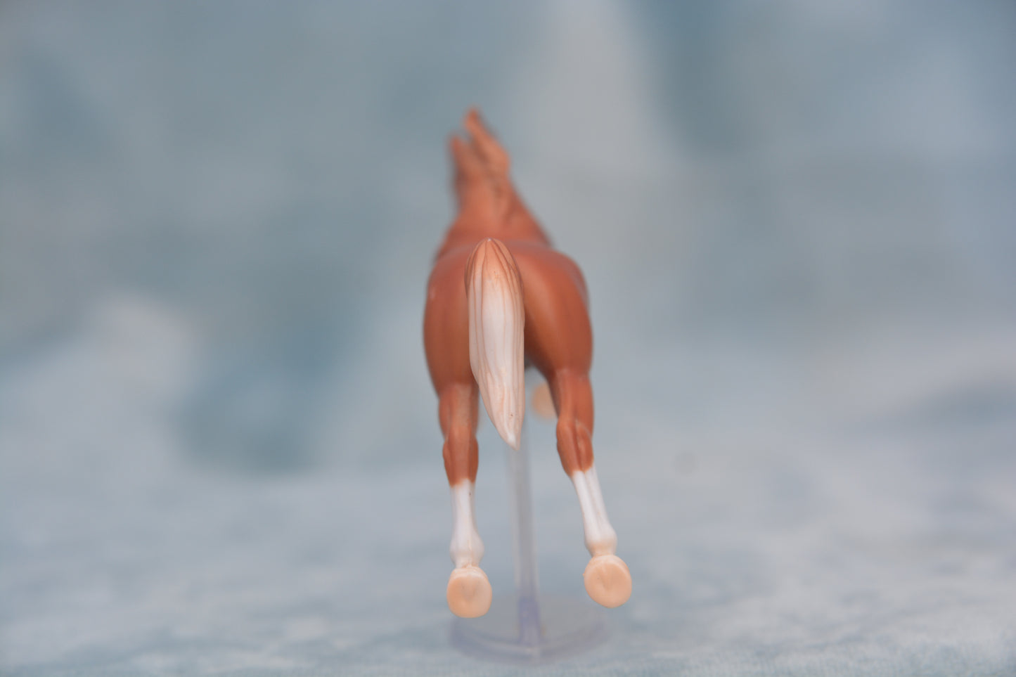 Chestnut Pinto Sport Horse