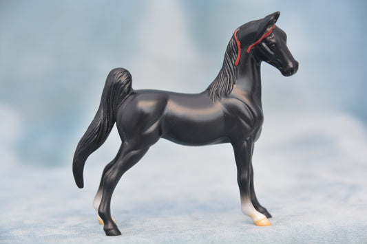 Horspital Saddlebred