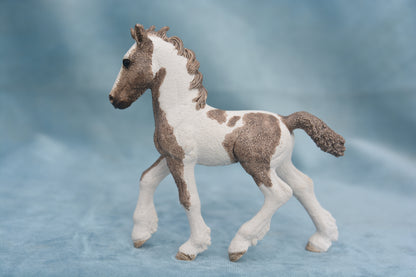Tinker Foal
