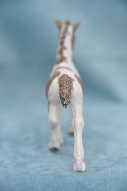 Tinker Foal