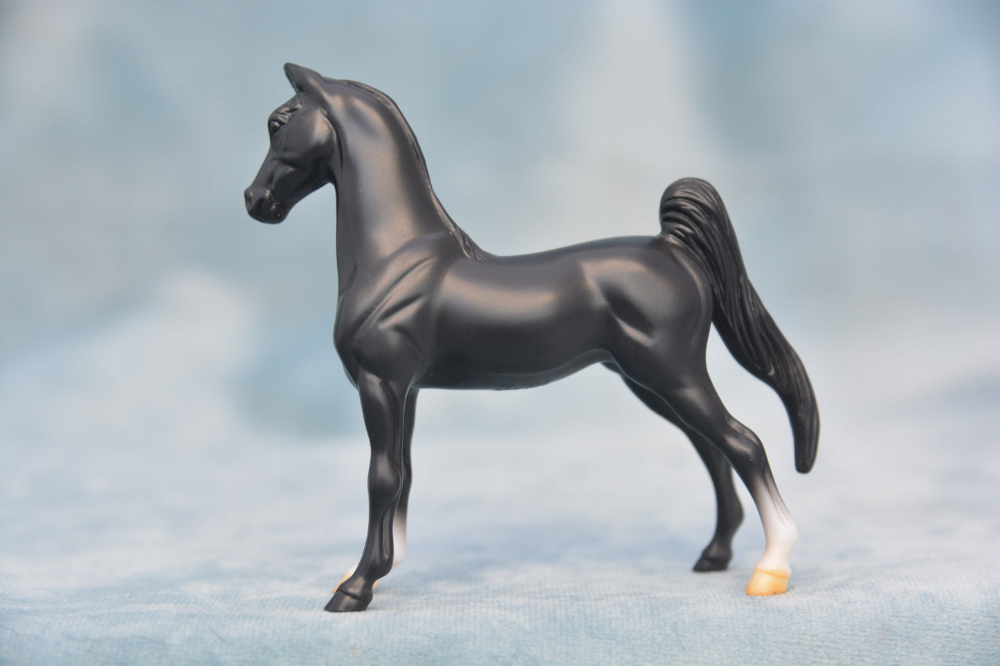 Horspital Saddlebred