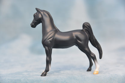 Horspital Saddlebred