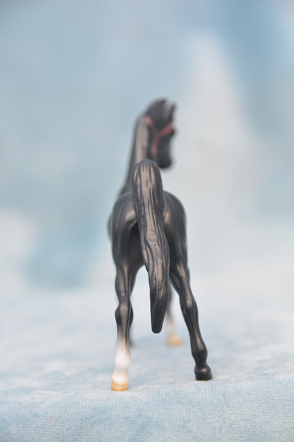 Horspital Saddlebred