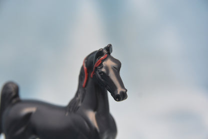 Horspital Saddlebred