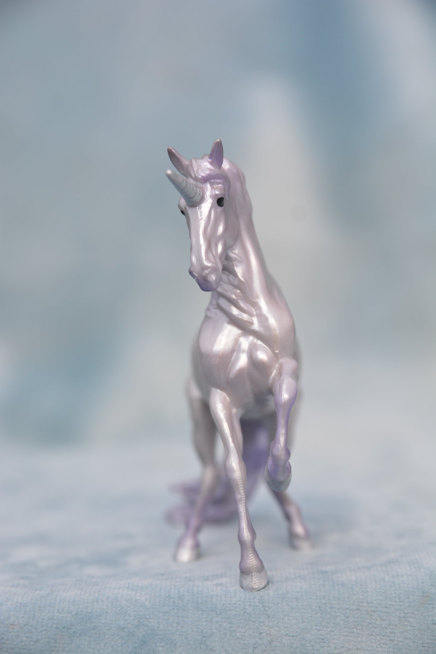 Horse Crazy Alborozo