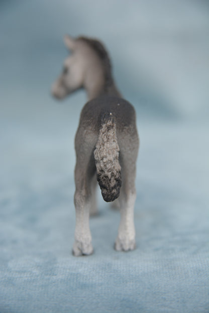 Fell Pony Foal