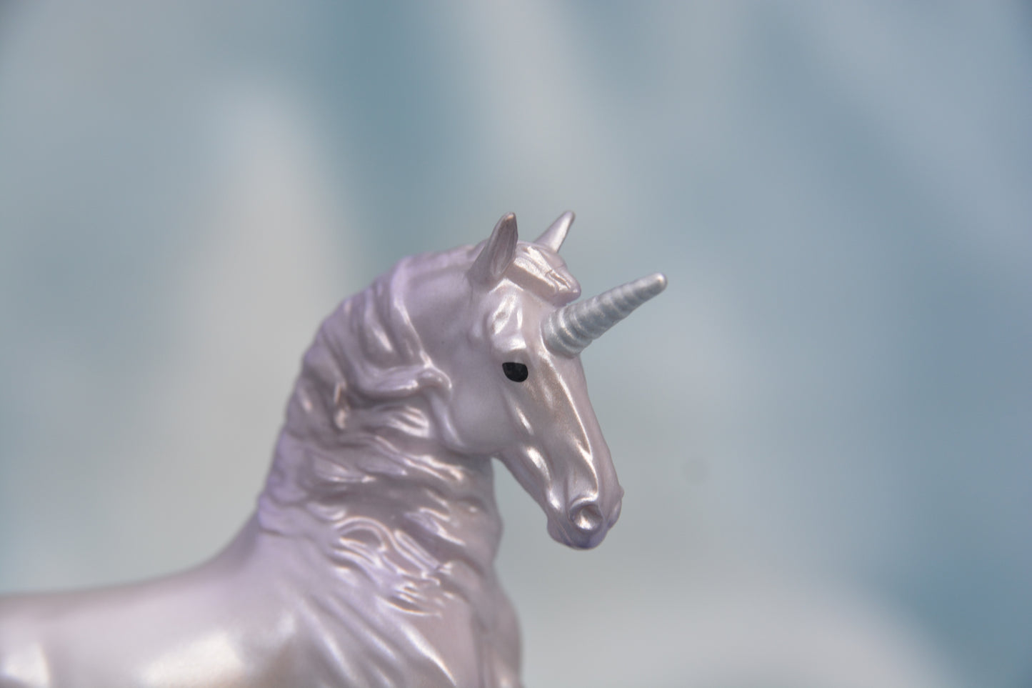 Horse Crazy Alborozo