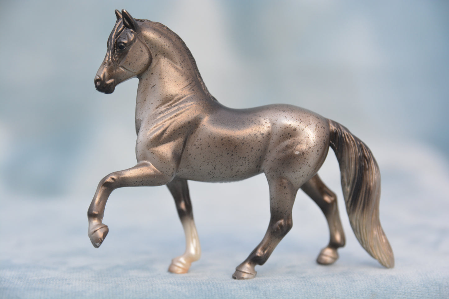 Surprise Peruvian Paso