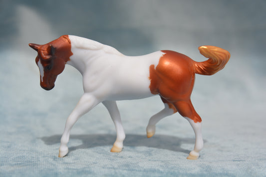 Mystery Horse Surprise - G2 Appaloosa