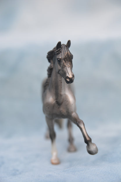 Surprise Peruvian Paso