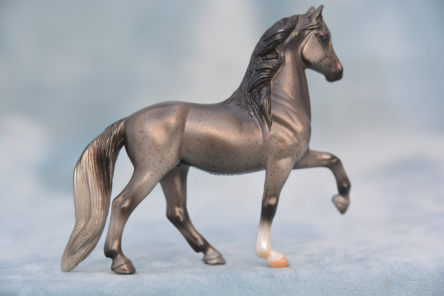 Surprise Peruvian Paso