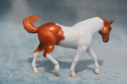 Mystery Horse Surprise - G2 Appaloosa