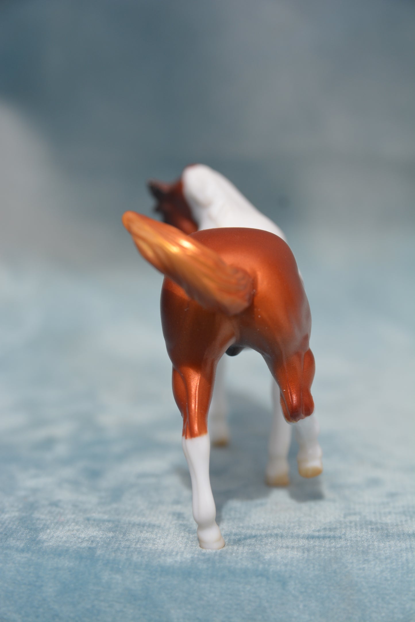 Mystery Horse Surprise - G2 Appaloosa