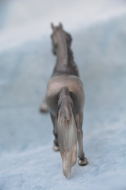 Surprise Peruvian Paso