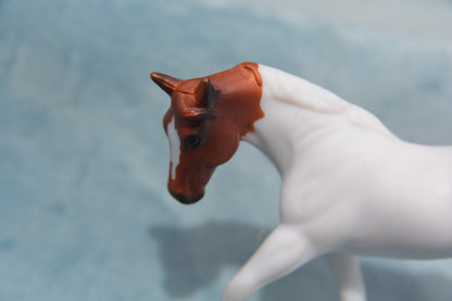 Mystery Horse Surprise - G2 Appaloosa