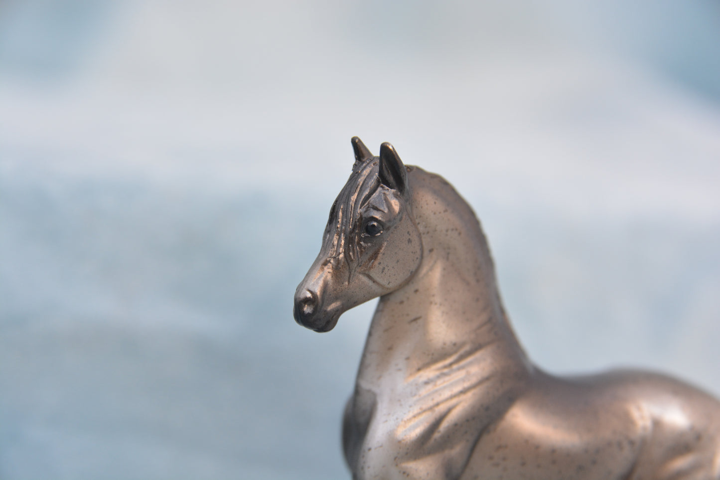 Surprise Peruvian Paso