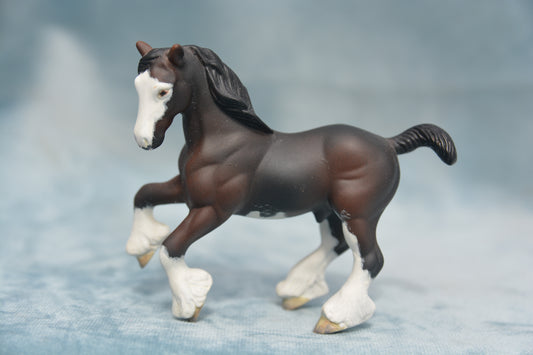 Bay G2 Clydesdale