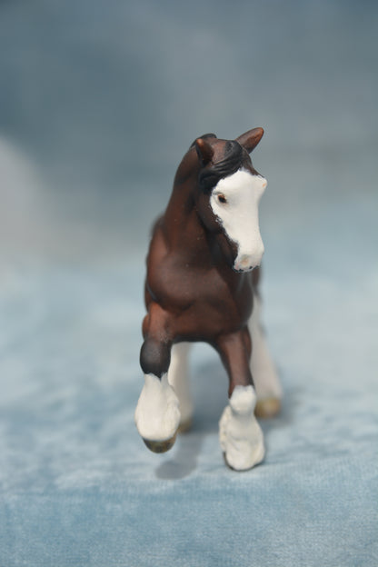 Bay G2 Clydesdale
