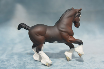 Bay G2 Clydesdale