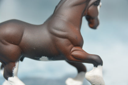Bay G2 Clydesdale