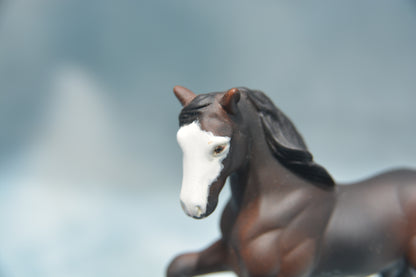 Bay G2 Clydesdale