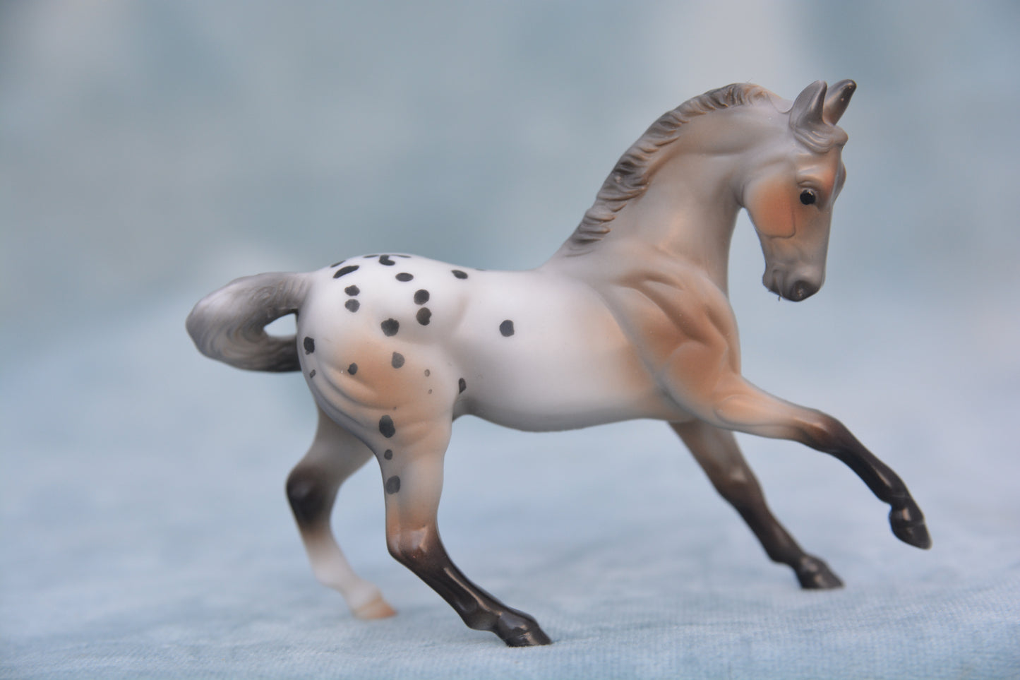 Polka Dot Warmblood 2