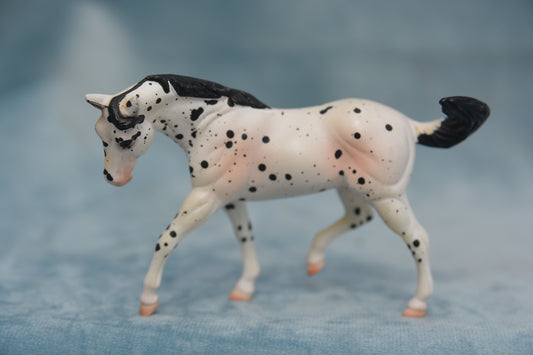 JAH G2 Appaloosa