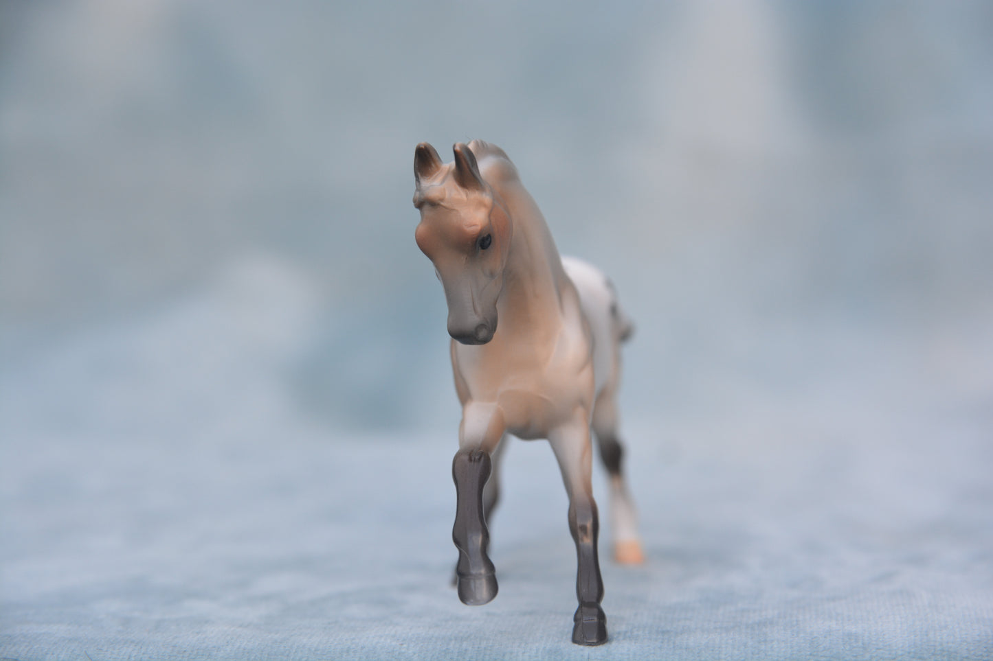 Polka Dot Warmblood 2