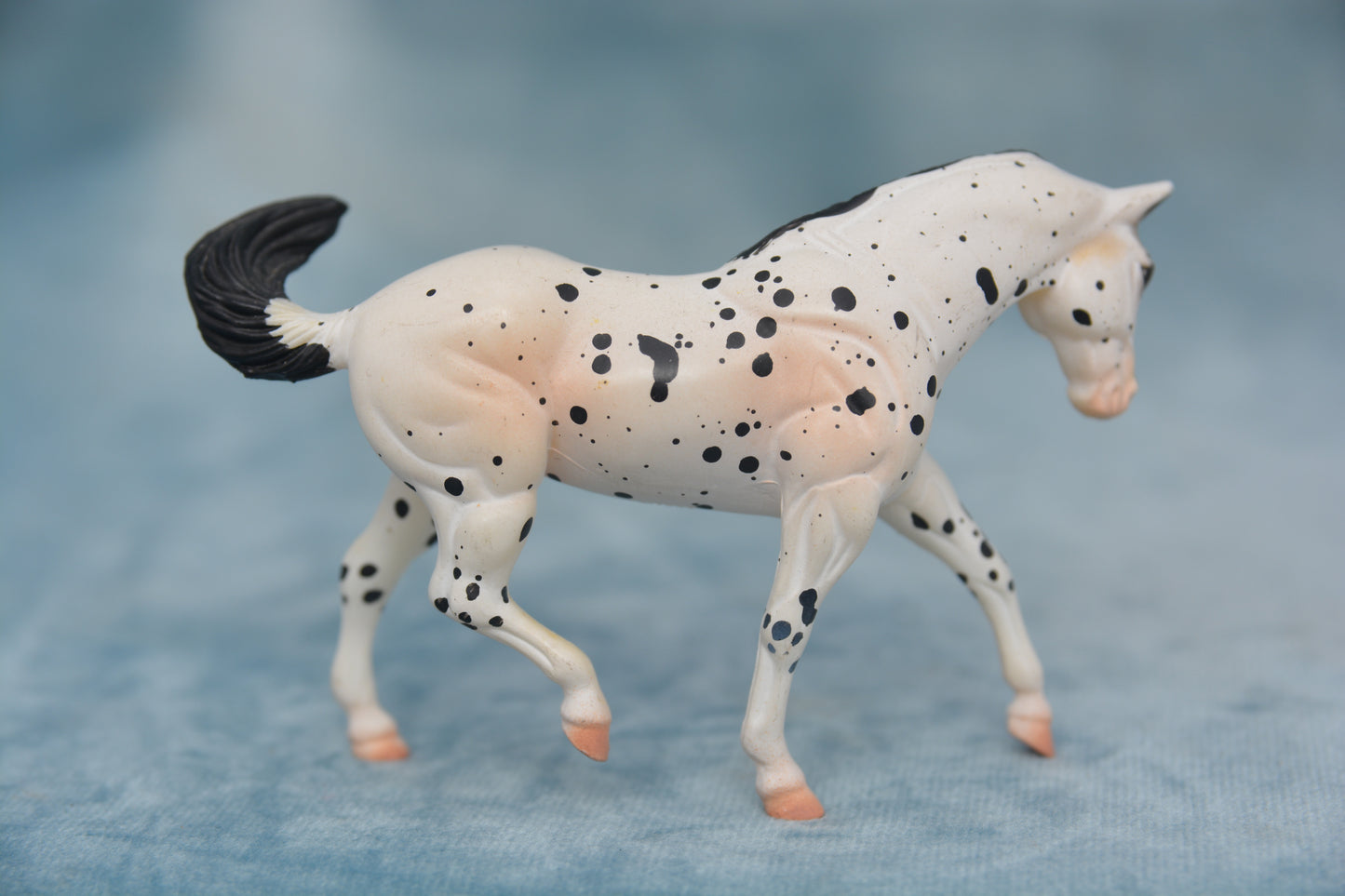 JAH G2 Appaloosa